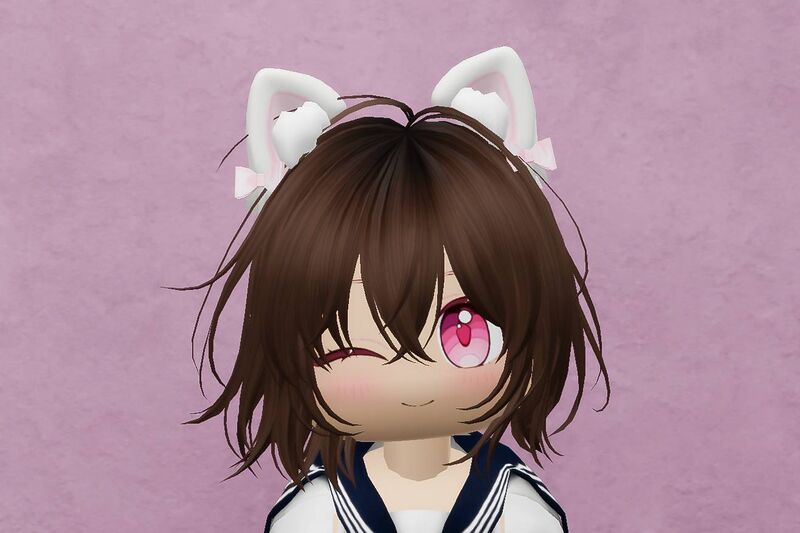 ファイル:Himeka スキン1.jpg