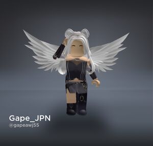 Gape JPNのスキン.jpg
